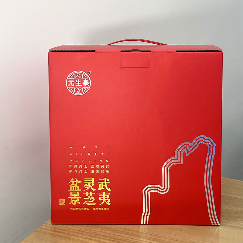 武夷灵芝盆景  好灵芝 好寓意(图2)