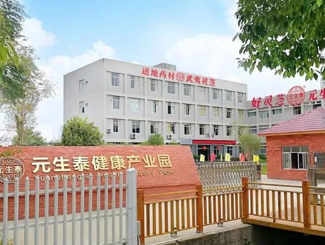 元生泰助力福建省中药材产业协会,共谋“福九味”产业新篇章(图6) 元生泰助力福建省中药材产业协会,共谋“福九味”产业新篇章(图6)