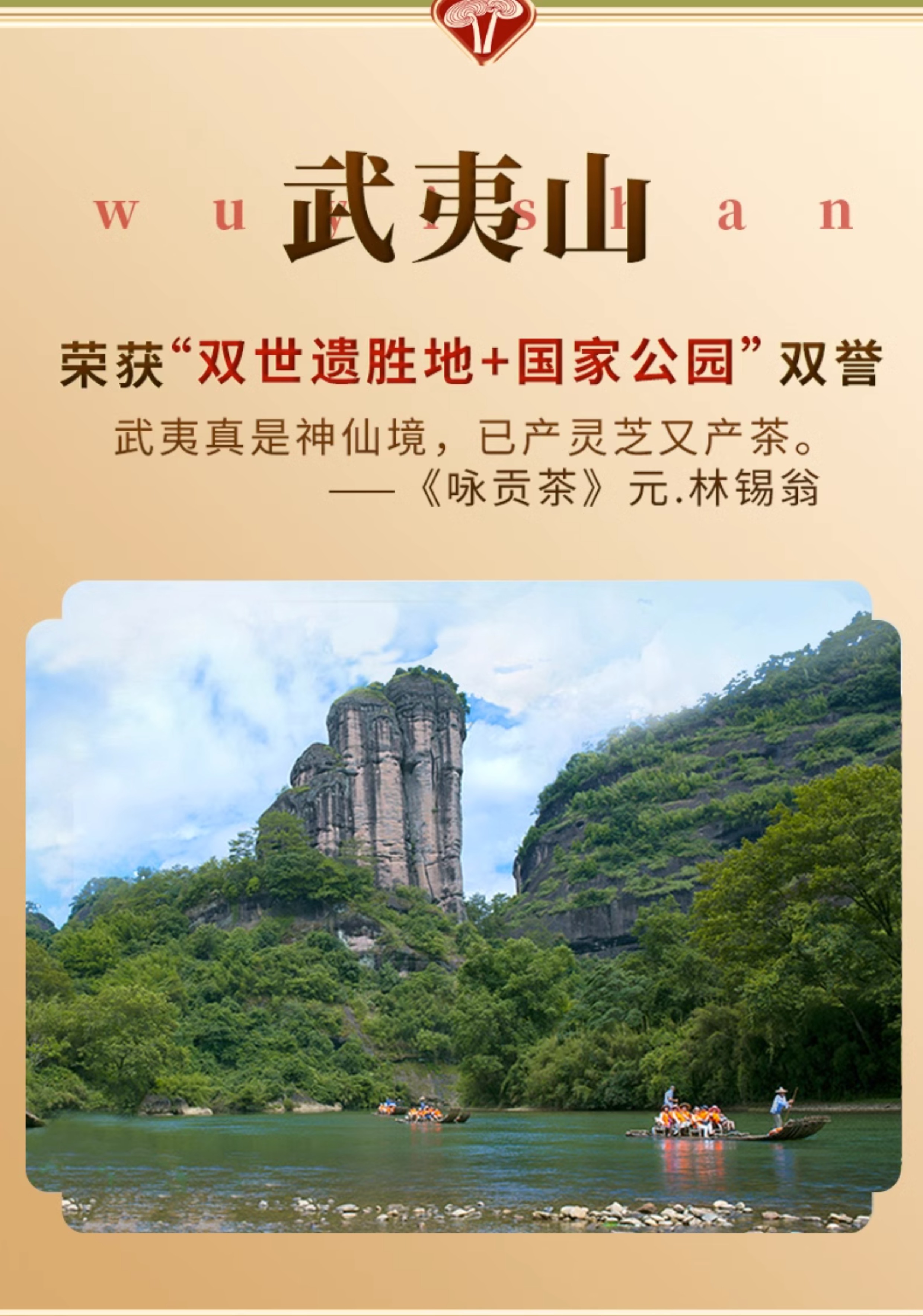 药食同源 紫芝茶 (图2)