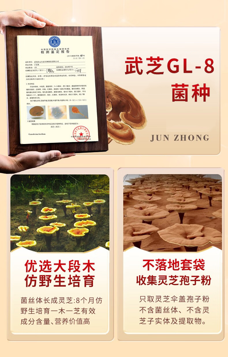 固元生泰牌破壁灵芝孢子粉粉剂100g/瓶(图9)