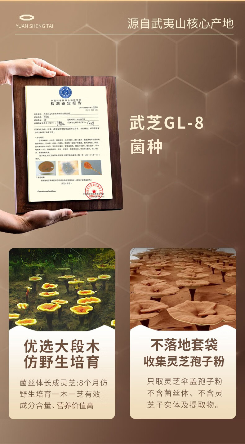 元生泰牌灵芝孢子油软胶囊0.5g/粒x8粒(图7)