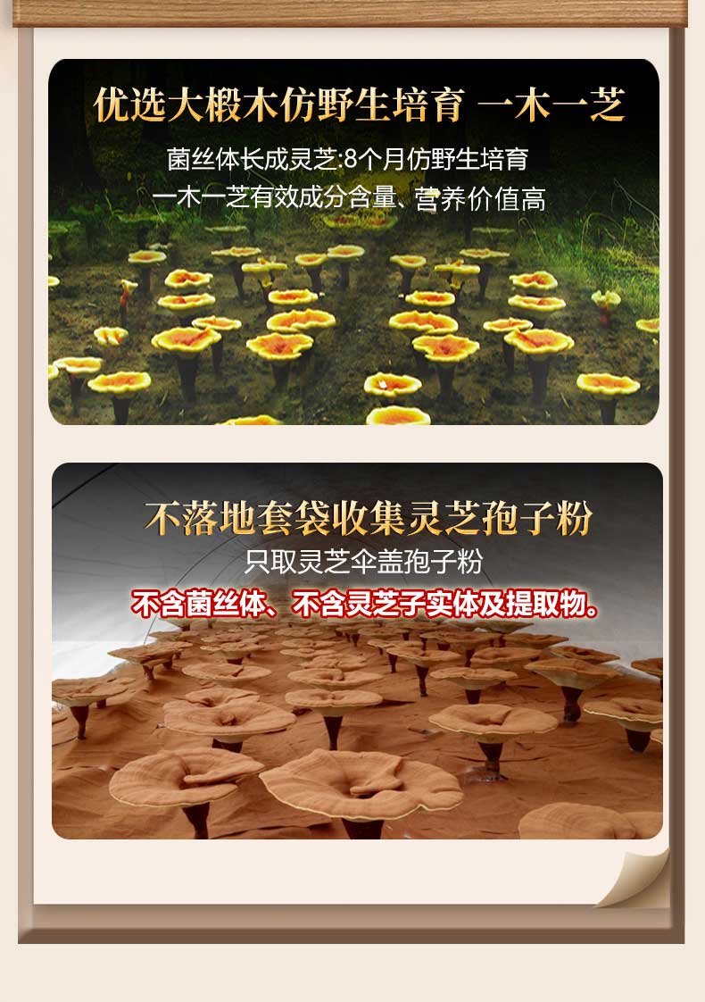 元生泰牌灵芝孢子油软胶囊(图6)