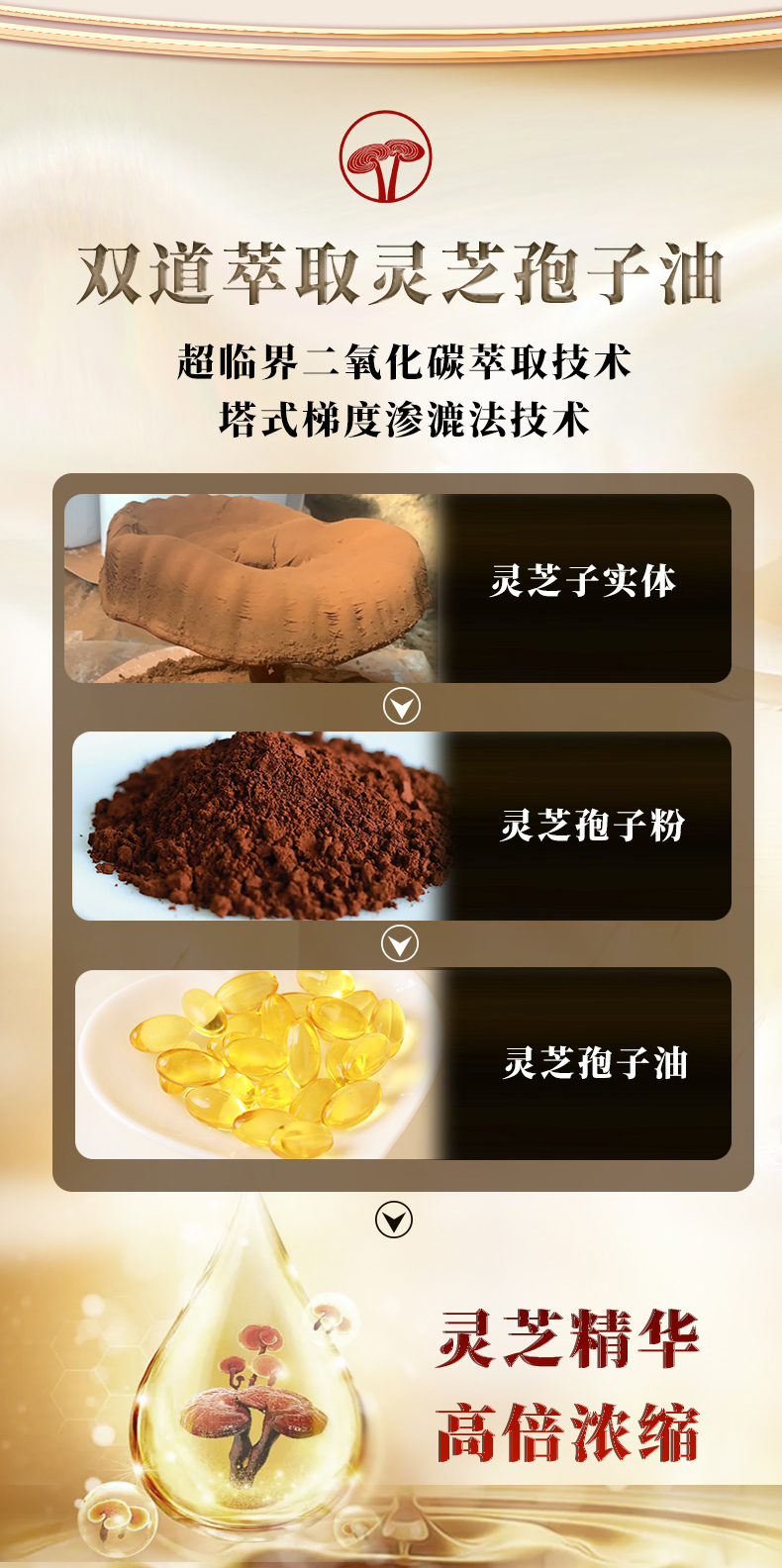 元生泰牌灵芝孢子油软胶囊(图7)