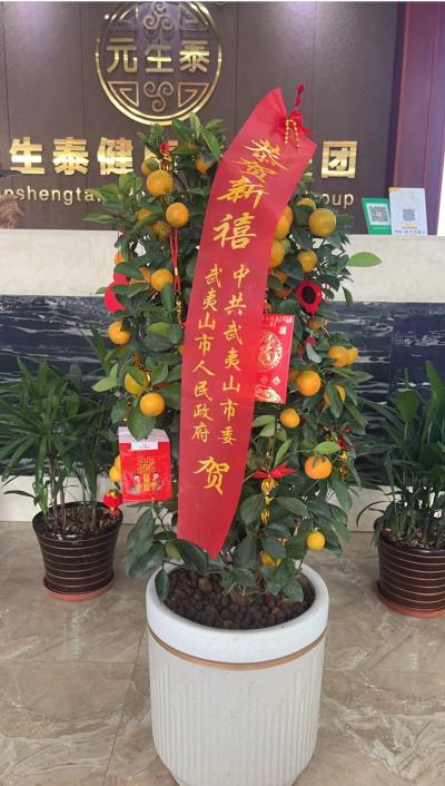 武夷山市委市政府领导莅临元生泰致以新春祝福,传递温暖关怀!(图2) 武夷山市委市政府领导莅临元生泰致以新春祝福,传递温暖关怀!(图2)