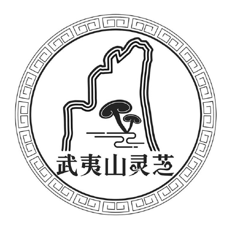 元生泰武夷灵芝璀璨亮相“爱武夷 迎新春”旅游推广大会,倾情助力文旅盛事(图5) 元生泰武夷灵芝璀璨亮相“爱武夷 迎新春”旅游推广大会,倾情助力文旅盛事(图5)