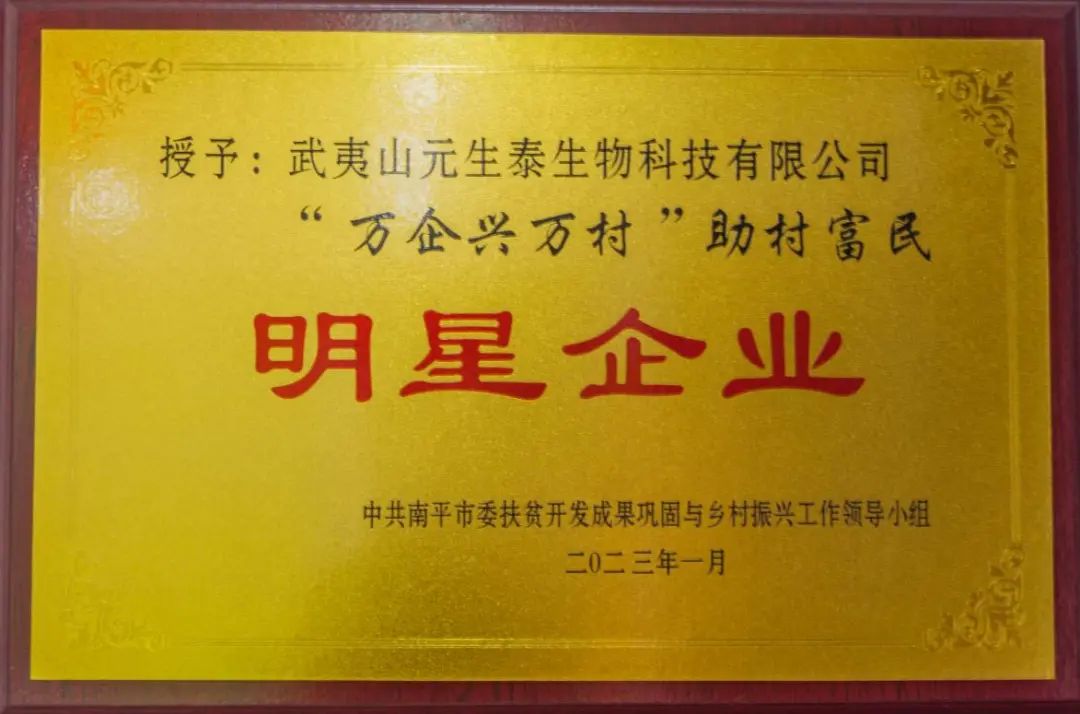 回首2023,步履铿锵!展望2024,元生泰凝心聚力加油干!(图3) 回首2023,步履铿锵!展望2024,元生泰凝心聚力加油干!(图3)