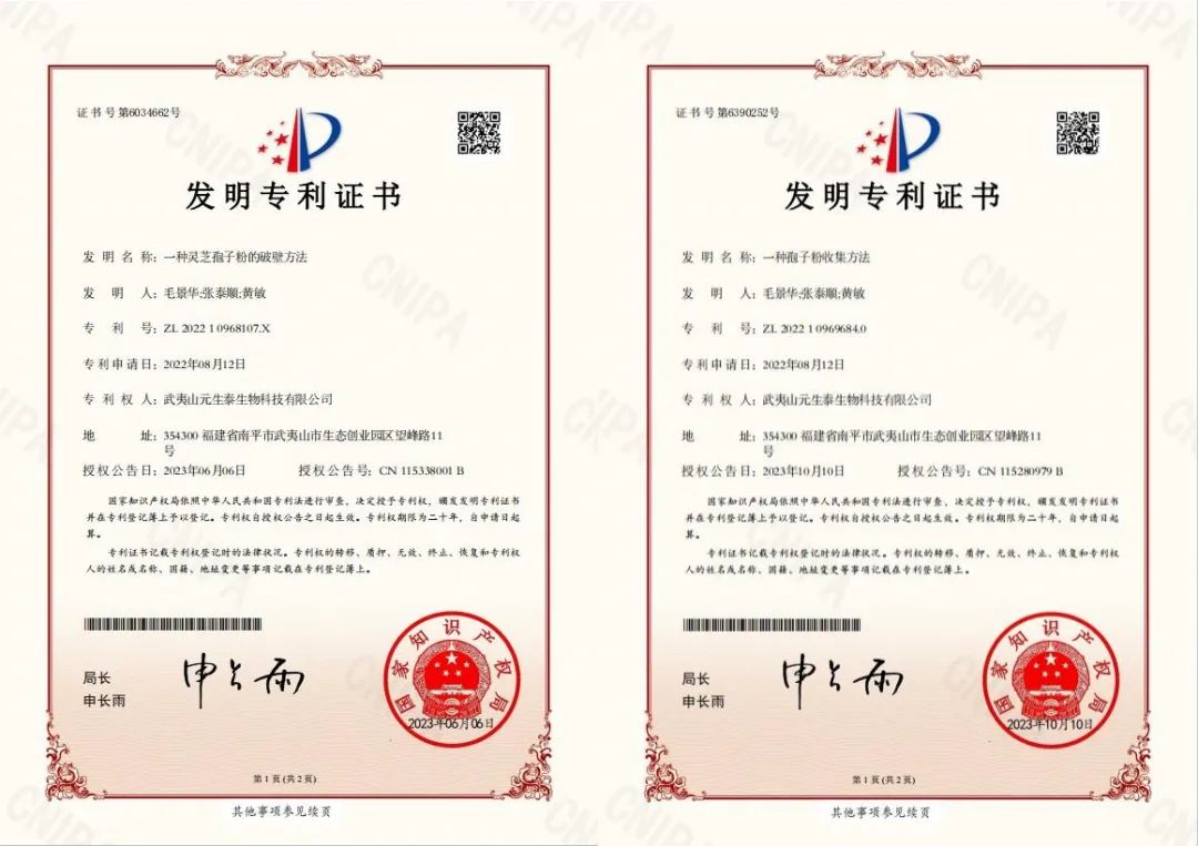 回首2023,步履铿锵!展望2024,元生泰凝心聚力加油干!(图8) 回首2023,步履铿锵!展望2024,元生泰凝心聚力加油干!(图8)