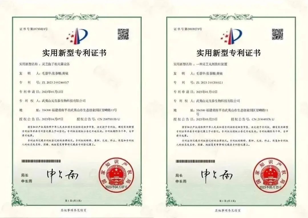 回首2023,步履铿锵!展望2024,元生泰凝心聚力加油干!(图9) 回首2023,步履铿锵!展望2024,元生泰凝心聚力加油干!(图9)