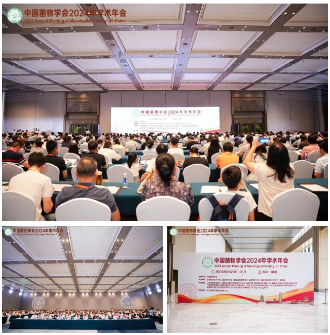 元生泰助力中国菌物学会2024年学术年会,共促菌物科学发展新篇章(图1) 元生泰助力中国菌物学会2024年学术年会,共促菌物科学发展新篇章(图1)