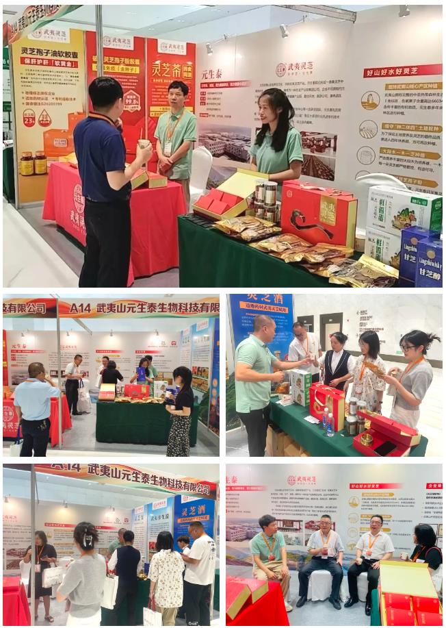 元生泰助力中国菌物学会2024年学术年会,共促菌物科学发展新篇章(图2) 元生泰助力中国菌物学会2024年学术年会,共促菌物科学发展新篇章(图2)