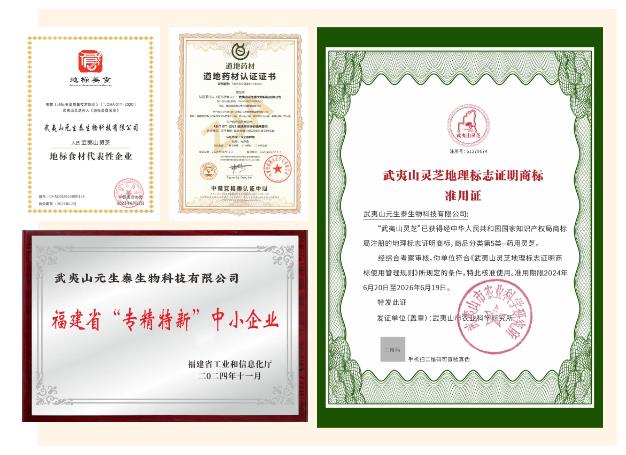 厦门大学党委原副书记、校友总会副理事长赖虹凯一行莅临元生泰参观考察(图4) 厦门大学党委原副书记、校友总会副理事长赖虹凯一行莅临元生泰参观考察(图4)