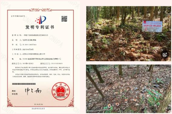 元生泰2024年大事纪:稳健前行,共绘未来发展新篇!(图5) 元生泰2024年大事纪:稳健前行,共绘未来发展新篇!(图5)