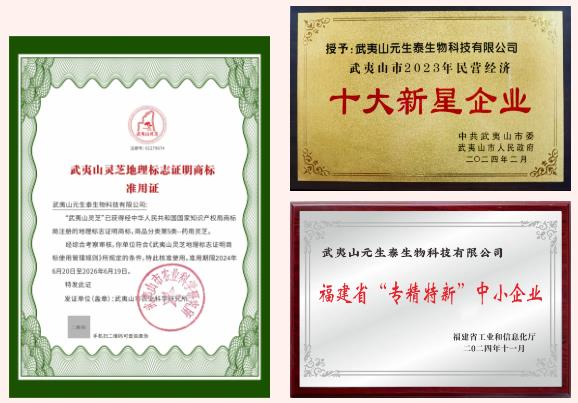 元生泰2024年大事纪:稳健前行,共绘未来发展新篇!(图7) 元生泰2024年大事纪:稳健前行,共绘未来发展新篇!(图7)