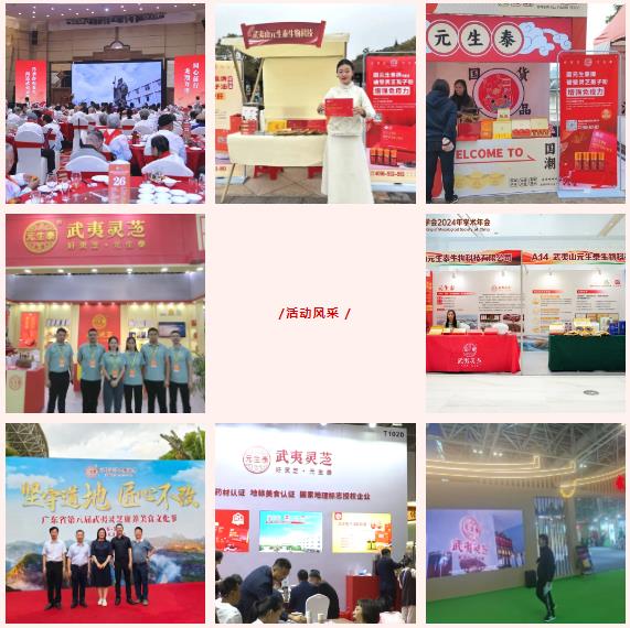元生泰2024年大事纪:稳健前行,共绘未来发展新篇!(图10) 元生泰2024年大事纪:稳健前行,共绘未来发展新篇!(图10)