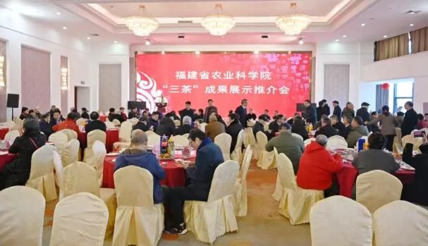 元生泰亮相“三茶”成果展示推介会,“灵芝+茶”模式赋能茶界转型升级(图1) 元生泰亮相“三茶”成果展示推介会,“灵芝+茶”模式赋能茶界转型升级(图1)