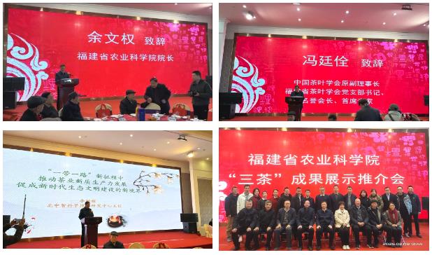 元生泰亮相“三茶”成果展示推介会,“灵芝+茶”模式赋能茶界转型升级(图2) 元生泰亮相“三茶”成果展示推介会,“灵芝+茶”模式赋能茶界转型升级(图2)