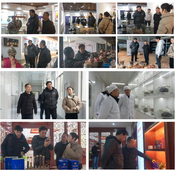 上海农科院食用菌研究所所长张劲松一行莅临元生泰参观调研!(图2) 上海农科院食用菌研究所所长张劲松一行莅临元生泰参观调研!(图2)