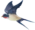 清明武夷芝养游：踏青、静心、享安康（配图 3）