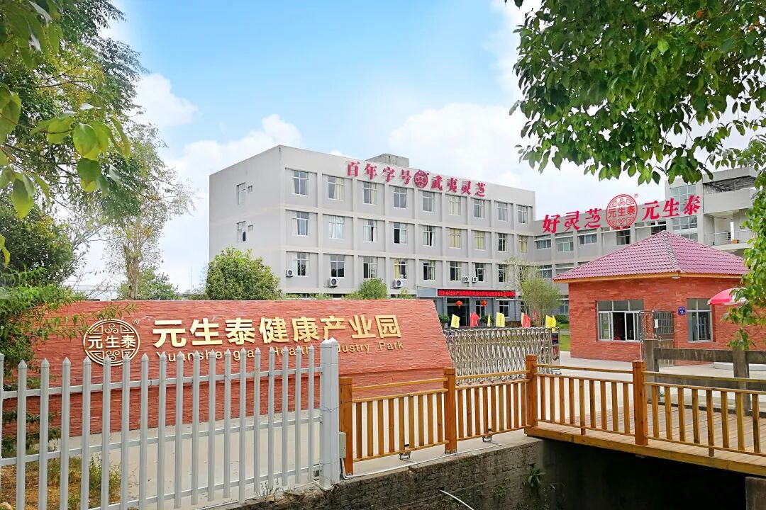 清明武夷芝养游：踏青、静心、享安康（配图 23）