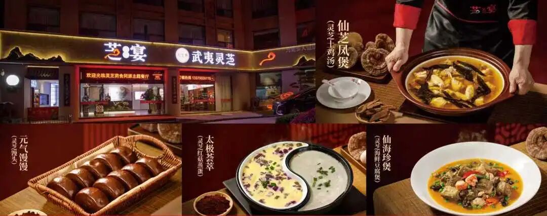 “武夷健康行·灵芝护康宁”肿瘤防治宣传周公益行活动即将启动,亮点抢先看!(配图 3)