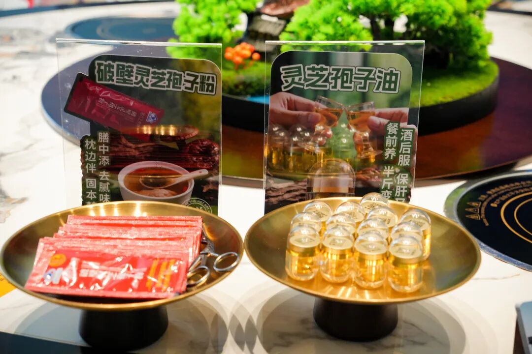 武夷健康行 灵芝护康宁——2026年全国肿瘤防治宣传周公益行在武夷山圆满举行(配图 19)