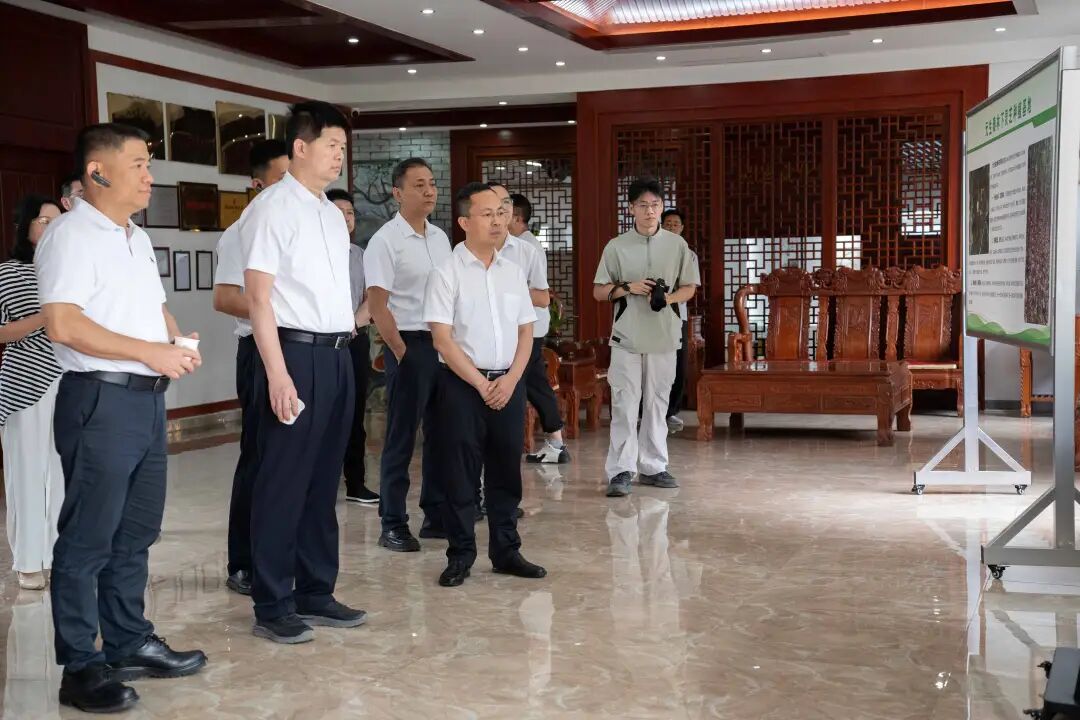 南平市委副书记张朝阳一行莅临元生泰考察 指导林下经济“标准化+全产业链”的示范模式(配图 2)