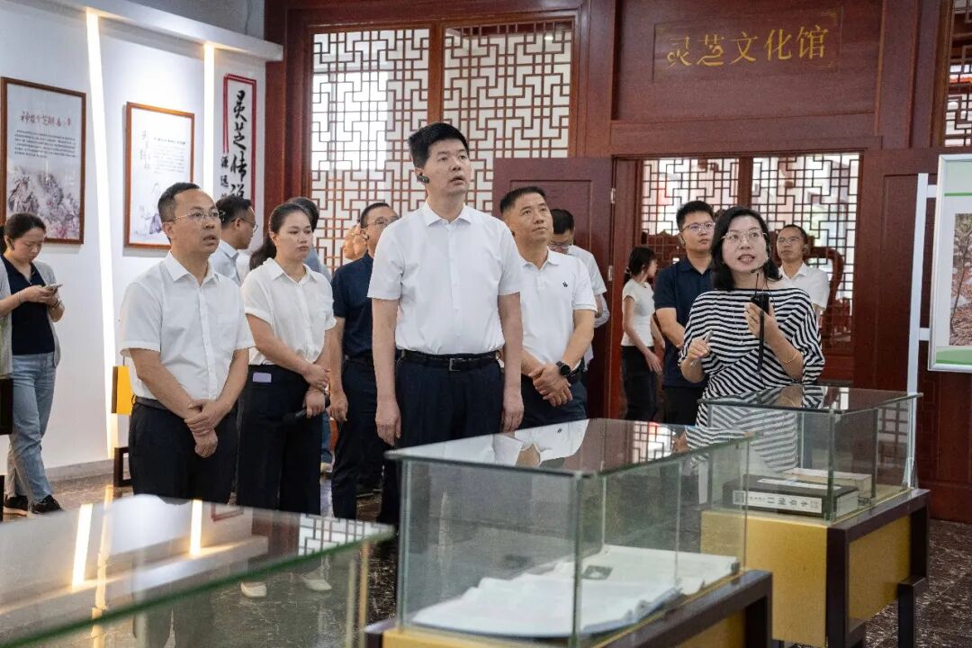 南平市委副书记张朝阳一行莅临元生泰考察 指导林下经济“标准化+全产业链”的示范模式(配图 3)