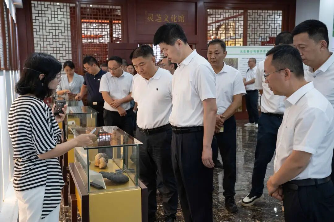 南平市委副书记张朝阳一行莅临元生泰考察 指导林下经济“标准化+全产业链”的示范模式(配图 4)