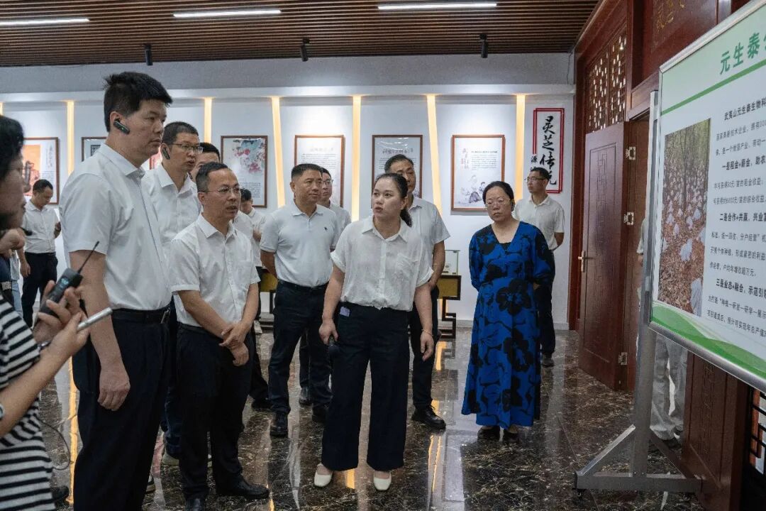 南平市委副书记张朝阳一行莅临元生泰考察 指导林下经济“标准化+全产业链”的示范模式(配图 6)