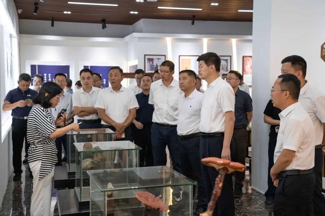 南平市委副书记张朝阳一行莅临元生泰考察 指导林下经济“标准化+全产业链”的示范模式(配图 7)