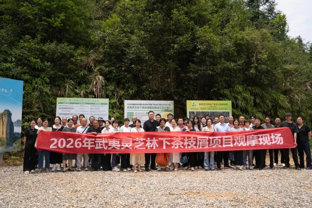 科技赋能菌业提质 元生泰助力乡村振兴——2026年福建省食用菌科技创新推广联合体项目培训和观摩圆满举行(配图 2)