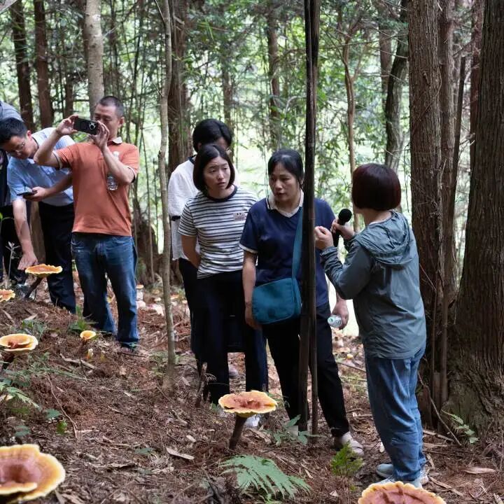 科技赋能菌业提质 元生泰助力乡村振兴——2026年福建省食用菌科技创新推广联合体项目培训和观摩圆满举行(配图 12)