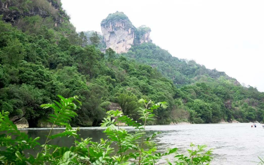 为什么元生泰只在武夷山种灵芝?——气候篇·北纬27°的"灵芝天然温室"(配图 2)