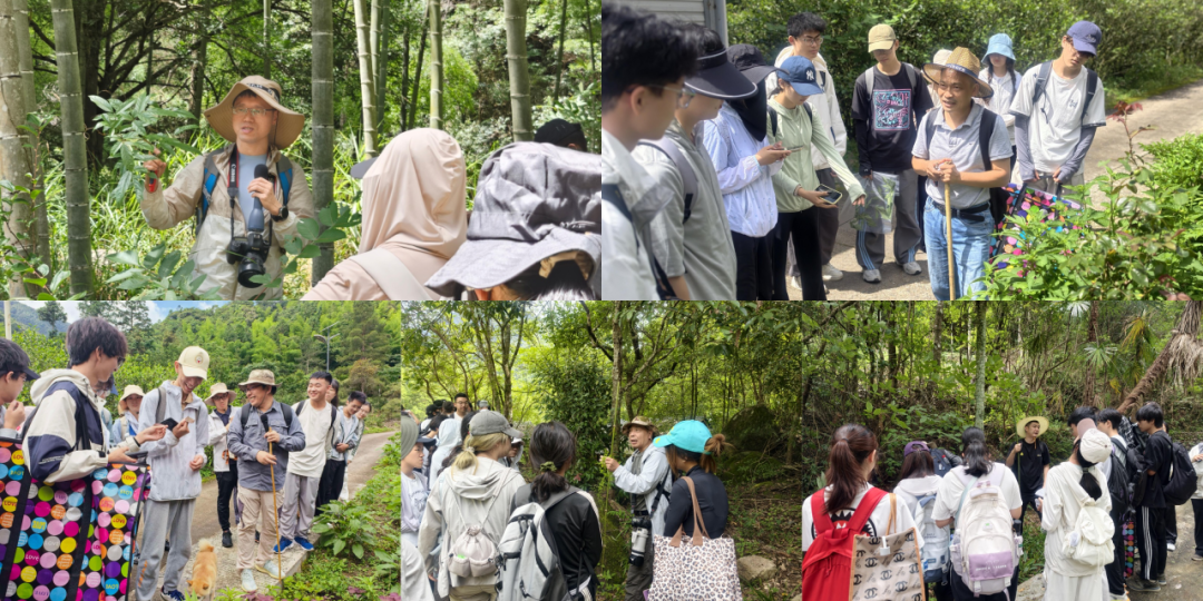产学研融合十五载!元生泰再迎厦大药学院师生赴武夷采药研学之旅(配图 9)